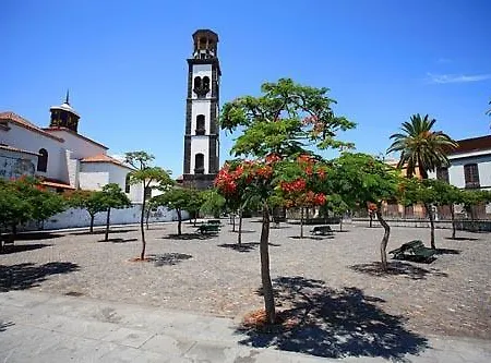 Barco Sc Tenerife 산타크루스데 테네리페